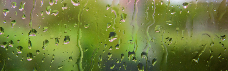Regn
