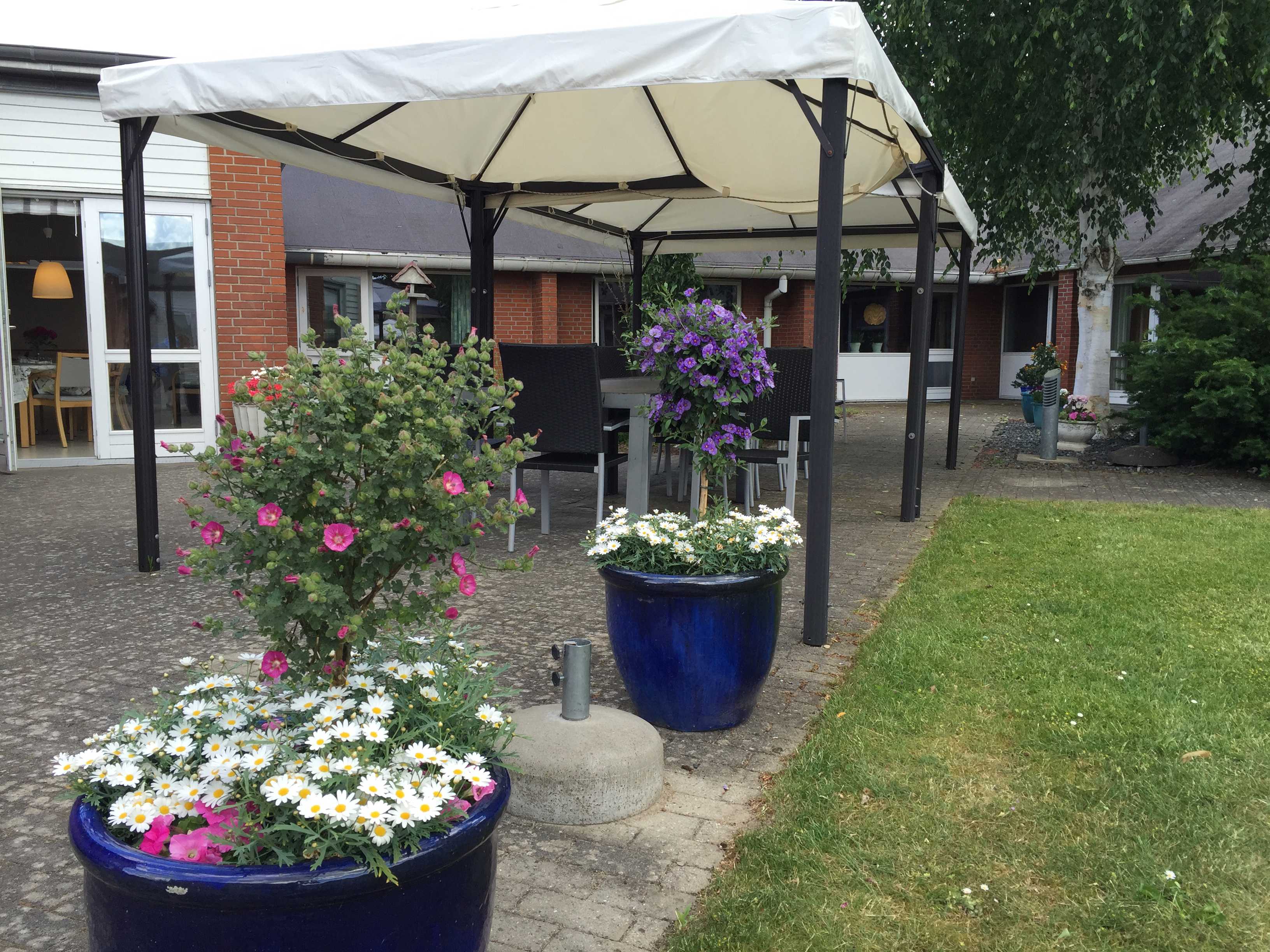 Terrasse med blomsterkrukker