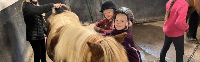 Børn der hygger med hest i stald